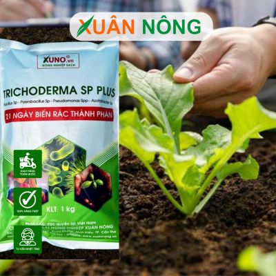 Bí quyết biến rác bếp thành phân hữu cơ bằng nấm Trichoderma