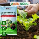 Bí quyết biến rác bếp thành phân hữu cơ bằng nấm Trichoderma