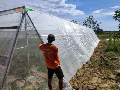 Nhà lưới trồng rau sạch tại Hà Tĩnh