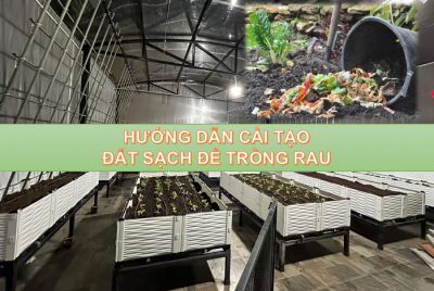 Hướng dẫn cải tạo đất sạch để trồng rau