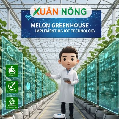 Nhà màng trồng dưa lưới - Ứng dụng công nghệ IoT