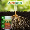 Cách pha và sử dụng N3M kích rễ đạt hiệu quả cao