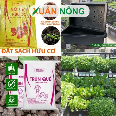 Hướng dẫn chọn đất, phân và chậu cho người mới trồng rau