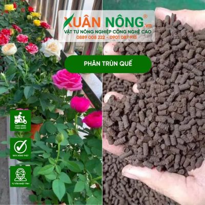 Phân trùn quế viên nén chuyên dùng cho hoa hồng