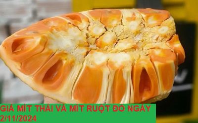 GIÁ MÍT THÁI VÀ MÍT RUỘT ĐỎ HÔM NAY NGÀY 04/11/2024