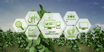 Top 3 phương pháp canh tác nông nghiệp 4.0 năm 2022