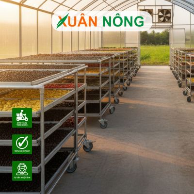 Nhà kính phơi sấy nông sản và 15 lưu ý phải biết