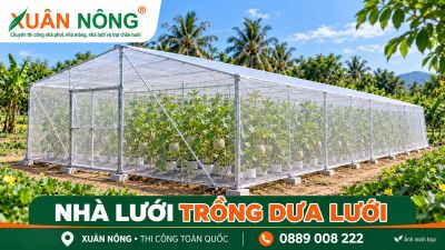 Nh&agrave; lưới trồng dưa lưới: Thiết kế v&agrave; tưới ph&ugrave; hợp