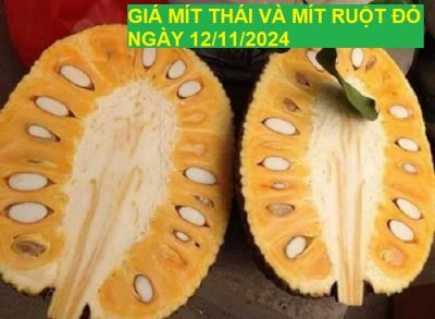 GIÁ MÍT THÁI VÀ MÍT RUỘT ĐỎ HÔM NAY NGÀY 12/11/2024