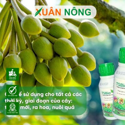 Phân bón nào tốt cho cây ăn trái sau khi ra hoa?