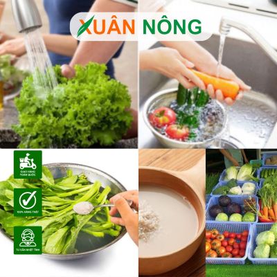 Trồng rau tại nhà – Bữa ăn sạch, không cần ngâm rửa