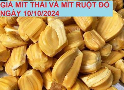 GIÁ MÍT THÁI VÀ MÍT RUỘT ĐỎ HÔM NAY NGÀY 10/10/2024