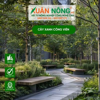 Bí quyết trồng cây xanh công viên luôn tươi tốt