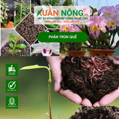 3 cách sử dụng phân trùn quế viên nén hiệu quả nhất