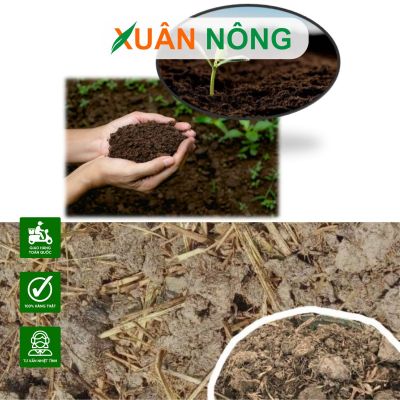 Nên chọn đất sạch hay đất thịt để trồng rau tại nhà?
