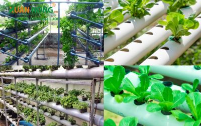 Làm giàn trồng rau thủy canh bằng ống nhựa PVC tại nhà