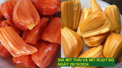 GIÁ MÍT THÁI VÀ MÍT RUỘT ĐỎ HÔM NAY NGÀY 29/10/2024