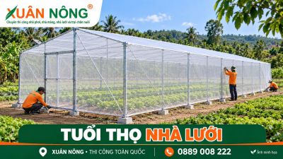 Tuổi thọ nh&agrave; lưới bao l&acirc;u? C&aacute;ch bảo tr&igrave;