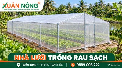 Nh&agrave; lưới chống c&ocirc;n tr&ugrave;ng: N&ecirc;n chọn bao nhi&ecirc;u mesh?