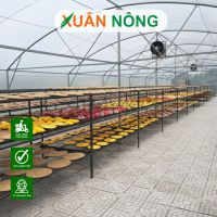 Nhà màng phơi nông sản - 15 lưu ý khi thi công