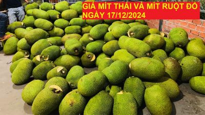 GIÁ MÍT THÁI VÀ MÍT RUỘT ĐỎ HÔM NAY NGÀY 17/12/2024