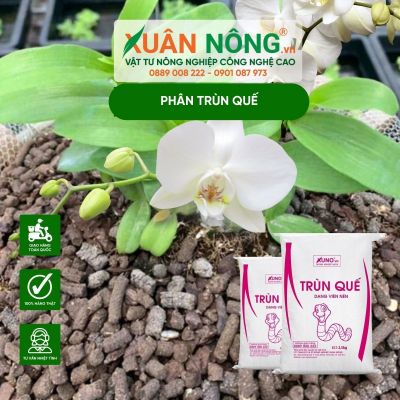 Điểm bán phân trùn quế chính hãng số lượng lớn, chất lượng