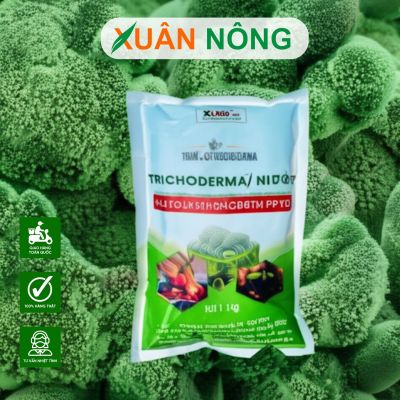 Nấm Trichoderma là gì? Công dụng và cách dùng trong nông nghiệp