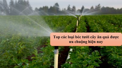 Top các loại béc tưới cây ăn quả được ưa chuộng hiện nay