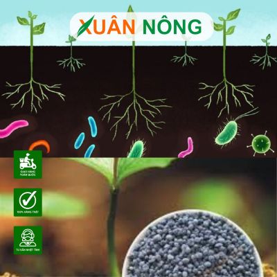 Cách phân biệt phân hữu cơ và phân hữu cơ vi sinh