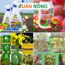Canxi bo pha chung với thuốc trừ sâu được không?