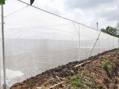 Nhà lưới trồng rau sạch hữu cơ – năng suất cao – chi phi tiết kiệm tại Xuân Nông