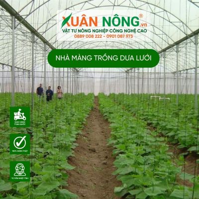 Thiết kế và thi công nhà màng trồng dưa lưới