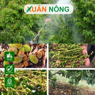 Cây ăn trái rụng hoa, trái non – Cách khắc phục hiệu quả