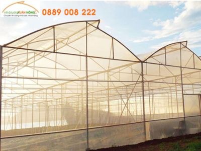 Chi phí làm nhà màng trồng dưa lưới giá tốt tại Xuân Nông