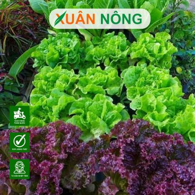 Trồng rau tại nhà? Nhất định phải biết 4 loại đất này
