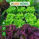 Trồng rau tại nhà? Nhất định phải biết 4 loại đất này