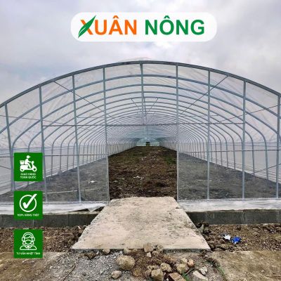 Nhà kính phơi cà phê tại Gia Lai và những lưu ý