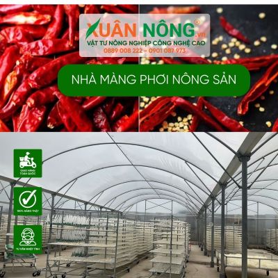 Nhà màng phơi nông sản: Bí quyết tăng năng suất 8 lần