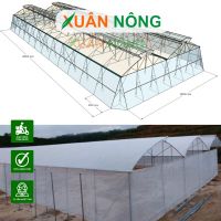Thi công nhà màng trồng rau ở Đồng Tháp