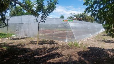 Nhà lưới trồng rau sạch tại Long Mỹ - Hậu Giang