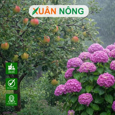 Vì sao không nên bón phân đạm cho cây vào mùa mưa?