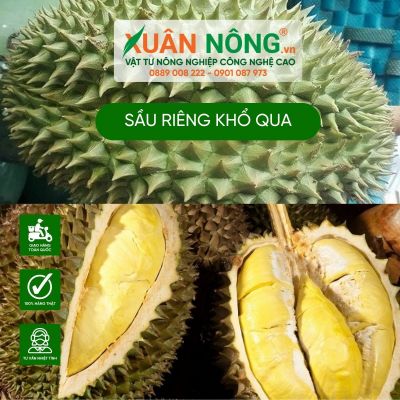 Sầu riêng khổ qua là gì? Có ngon không, giá bao nhiêu?