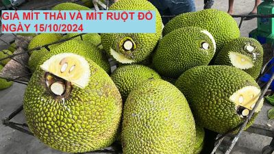 GIÁ MÍT THÁI VÀ MÍT RUỘT ĐỎ HÔM NAY NGÀY 15/10/2024