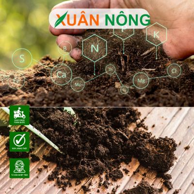 Cách sử dụng phân hữu cơ đúng kỹ thuật, hiệu quả cao