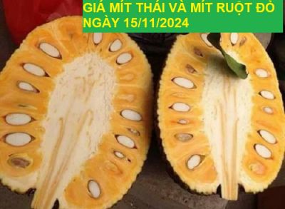 GIÁ MÍT THÁI VÀ MÍT RUỘT ĐỎ HÔM NAY NGÀY 15/11/2024