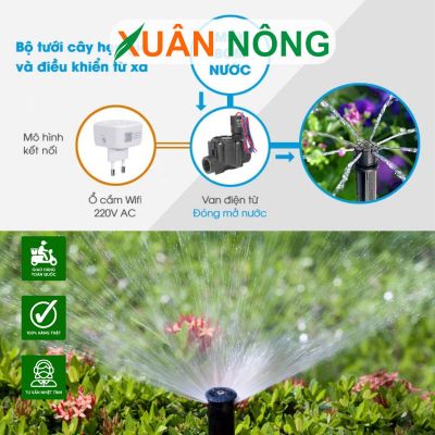 4 lí do nên chọn hệ thống tưới cây tự động