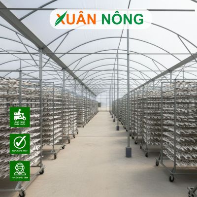 Nhà kính phơi cá - Top 15 lưu ý khi thi công