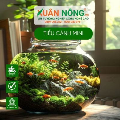 Tiểu cảnh mini nuôi cá thủy sinh trong nhà siêu đẹp