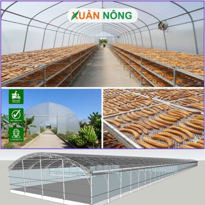 Nhà kính phơi sấy chuối và những lưu ý khi thi công