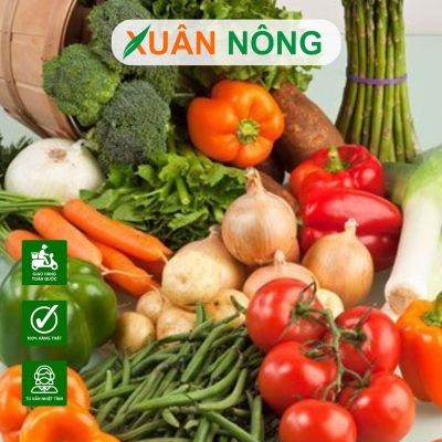 Nông nghiệp sạch là gì? Lợi ích của nông nghiệp sạch